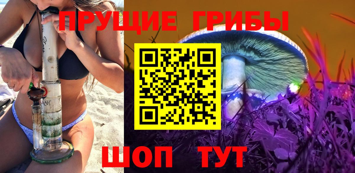 Псилоцибиновые грибы Cubensis Россия
