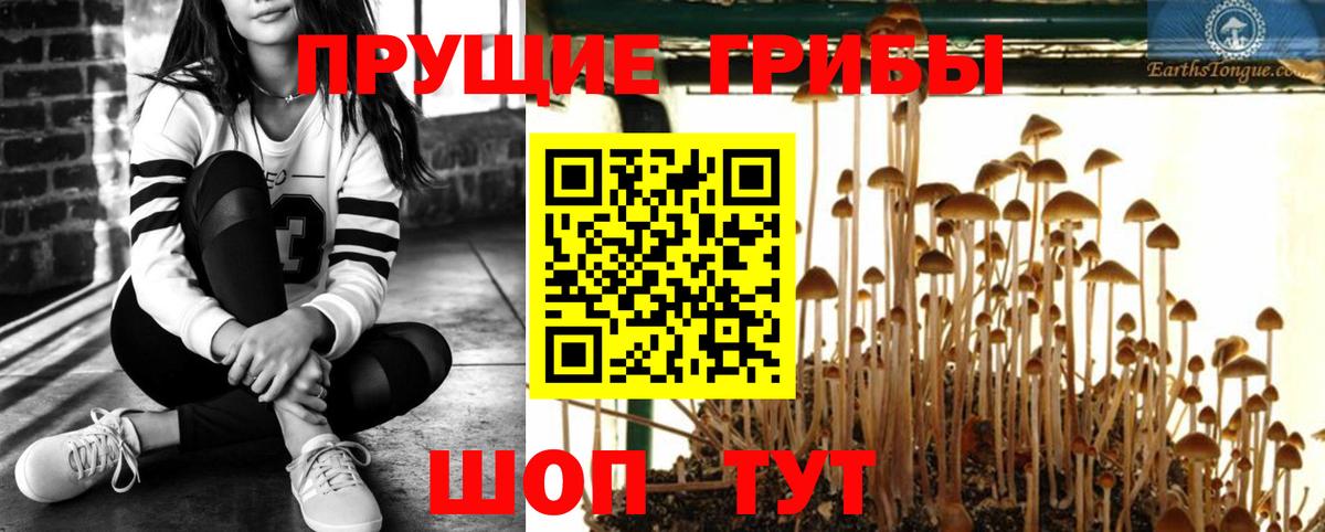 Россия  Псилоцибиновые грибы прущие грибы  Вход с VPN  Псилоцибиновые грибы ЛСД 